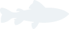 shapesimage