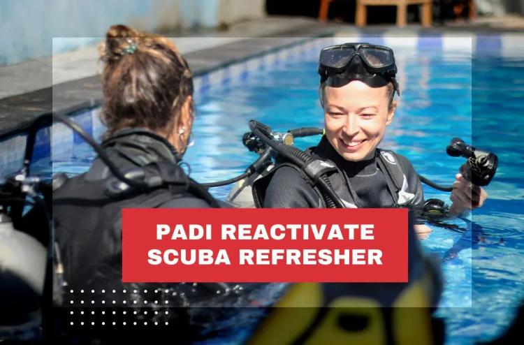 PADI Scuba Diver 